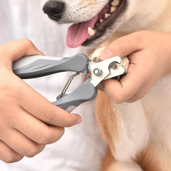 [LCS] Kæledyr Kat Hund Negleklipper Negleklipper Rustfrit Stål Grey M