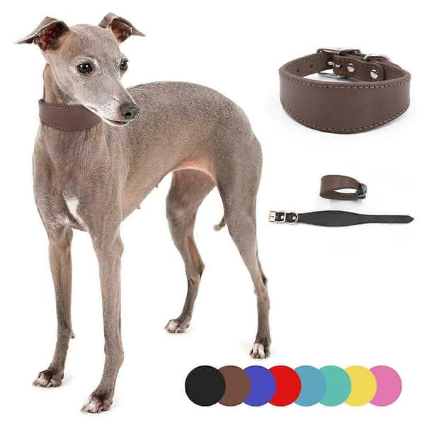 Halsbånd til kæledyr, brede læderhalsbånd, blødt for, justerbart halsbånd til hunde Red M