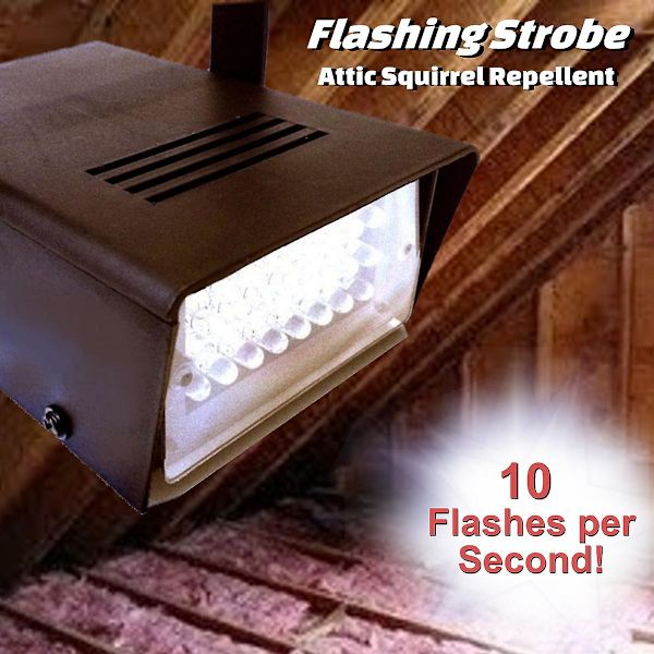 Mini LED Stroboskoplys med 24 Super Lyse 20w LED'er med Variabel Hastighedskontrol - Rox-St1
