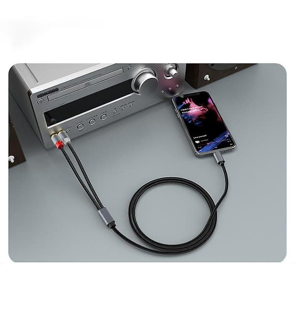 USB C til RCA lydstereokabel