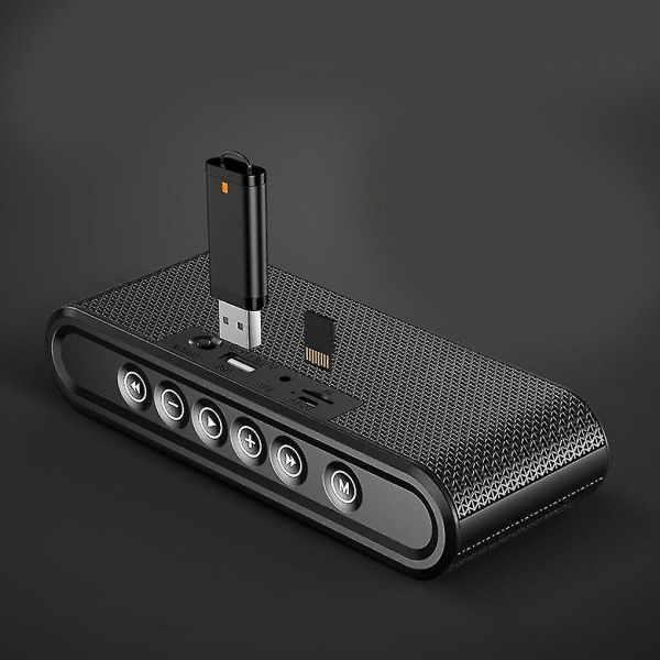 Worallymy X6 8000mAh batteri Bluetooth V4.2+EDR-högtalare (svart)