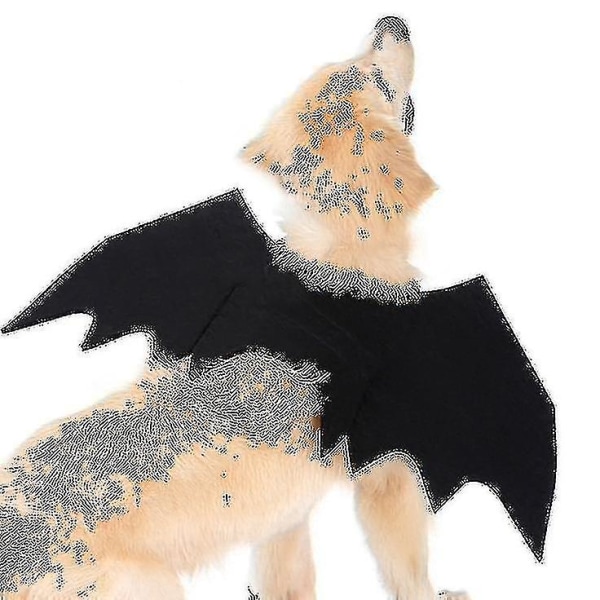 Hundfladdermuskostym Halloween husdjursdräkt Bat Wings Cosplay L Expedited logistics