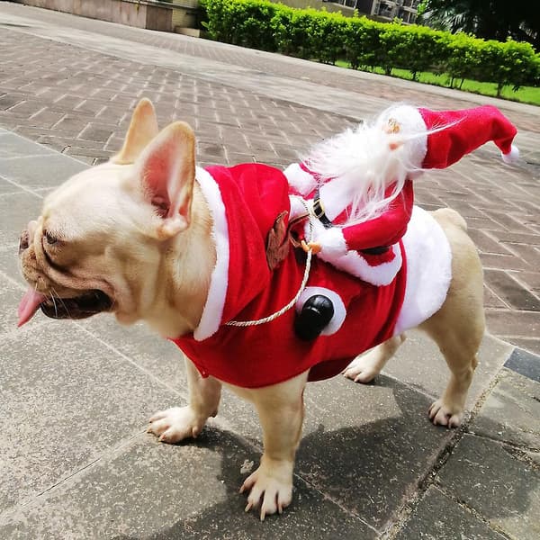 [LCS] Hund Tomte som rider Juldräkt S