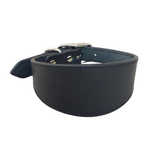 Hundhalsband Breda Läderhalsband Mjukt Foder Justerbart Hundhalsband Emerald S