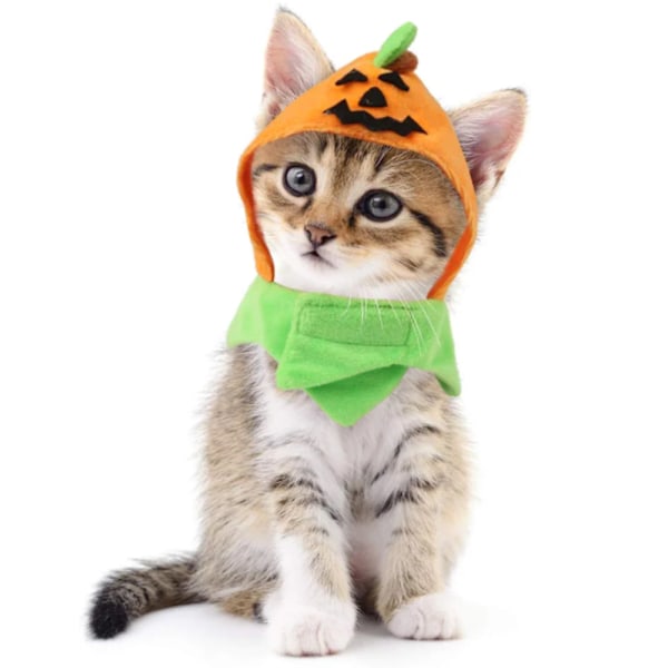Halloween Husdjursprodukter Katt Huvudbonad Hund Halloween Pumpahatt