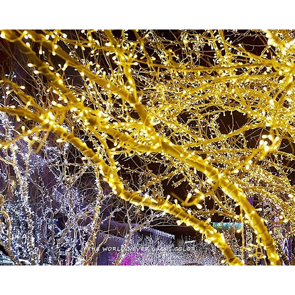 Gypsophila Lyskæder Julelys Bryllupslyskæder Feriedekoration Red 100M-800LED