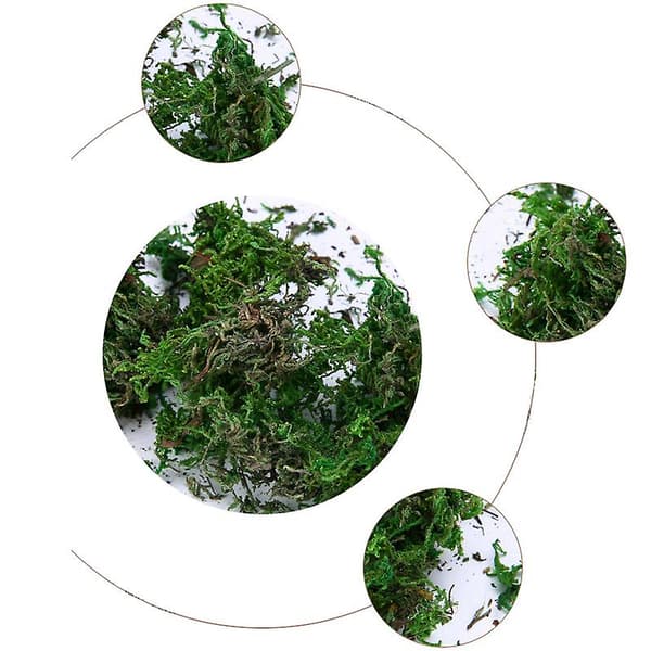[LCS] Torkad konstgjord mossfoder Dekor Blommor Hängande korgar Trädgårdshantverk