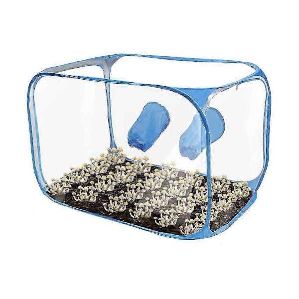 [LCS] Soppdyrkingstelt Still Air Box Blue