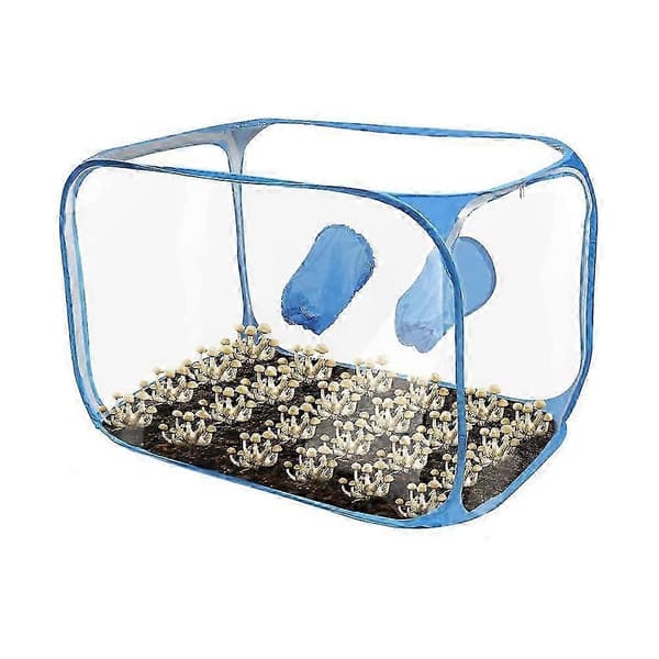 [LCS] Svampedyrkningstelt Still Air Box Blue