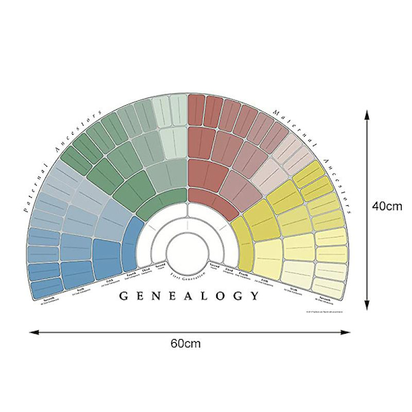 Släktträd att fylla i 5/6/7 generationer Genealogi Poster Tom Ifyllbar Anor F