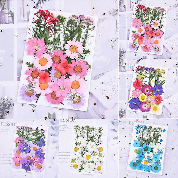 Pressede Blomster Blandede Økologiske Tørrede Blomster DIY Kunst Blomsterdekorationer Samling Gave D