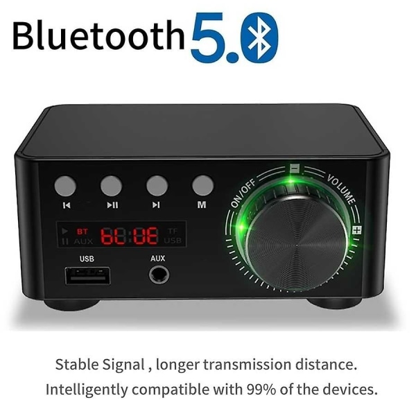100W HiFi Förstärkarklass Bluetooth 5.0 Liten Digital Effektförstärkare Stöder U Disk SD-kort RCA Ljudingång