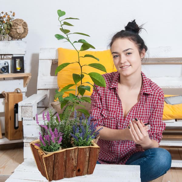 [LCS] Blomsterkasse Træ Sæt med 3 2020