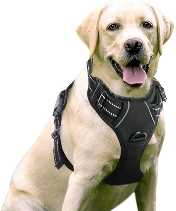 [LCS] Trækfri kæledyrssele med 2 snorclips Light gray Medium
