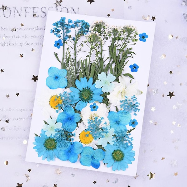 Pressade Blommor Blandade Ekologiska Torkade Blommor DIY Konst Blomsterdekorationer Kollektion Gåva White