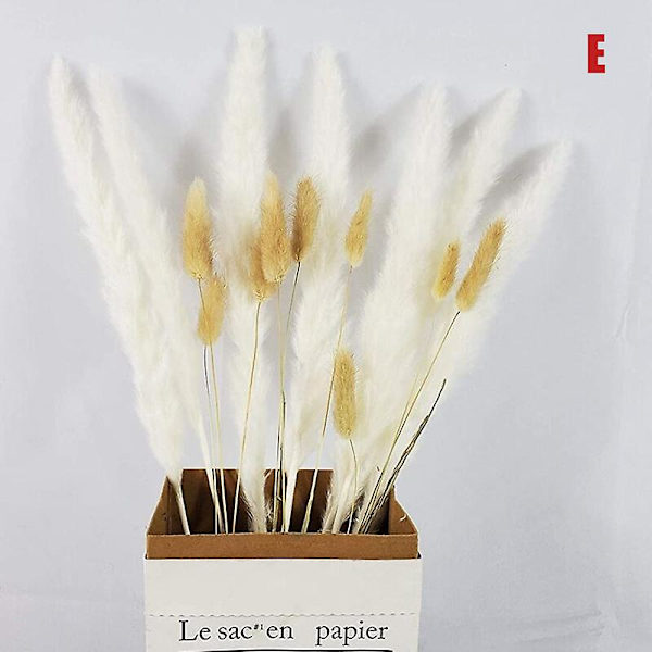 Torkad Blomsterbukett Naturlig Torkad Blomsterbukett Vass Flores Pampas Veteax Setaria För Hemmet E