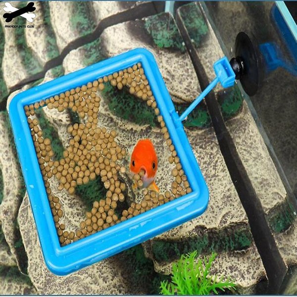Ny akvariefoderring fisk tank station flytande matbricka matare 3