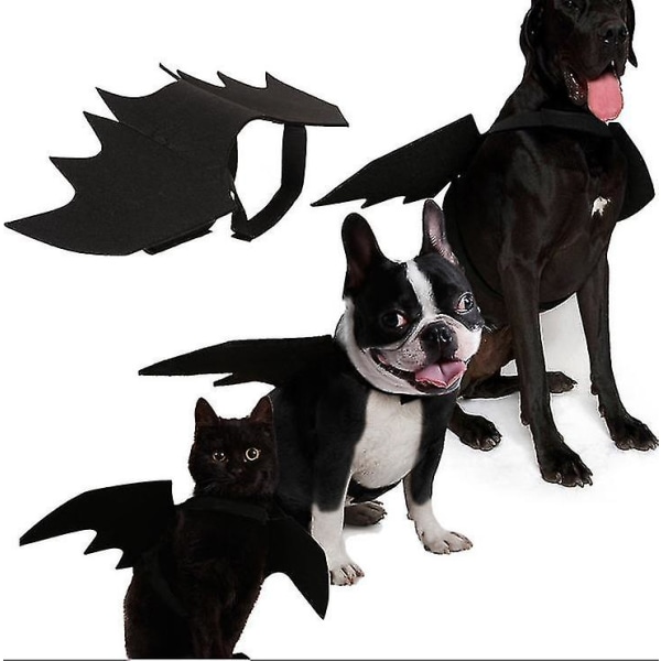 Hundfladdermuskostym Halloween husdjursdräkt Bat Wings Cosplay M