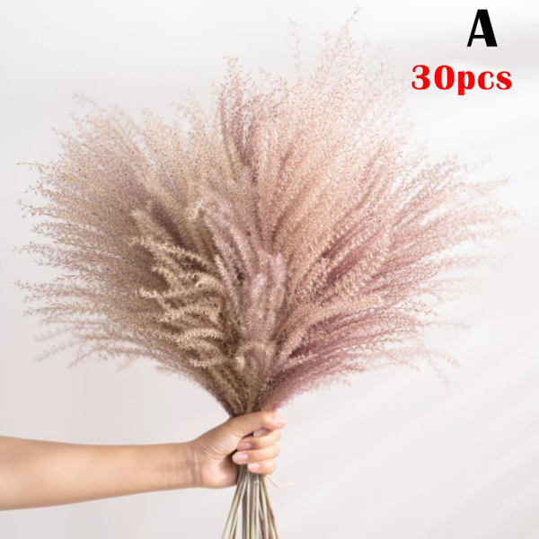 Torkad Blomsterbukett Naturlig Torkad Blomsterbukett Vass Flores Pampas Veteax Setaria För Hemmet A30PCS