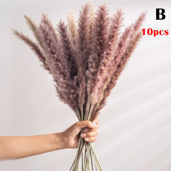 Torkad Blomsterbukett Naturlig Torkad Blomsterbukett Vass Flores Pampas Veteax Setaria För Hemmet B 10PCS