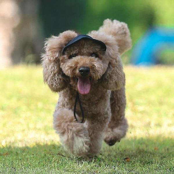 Pienet lemmikkikoiran lippalakit kesäksi, yksivärinen Oxford-lippis Dog cap2 L