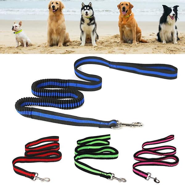 [LCS] Handsfree elastiskt koppel för hund, kompatibelt med löpning, promenader, vandring med justerbart midjebälte Rose Red