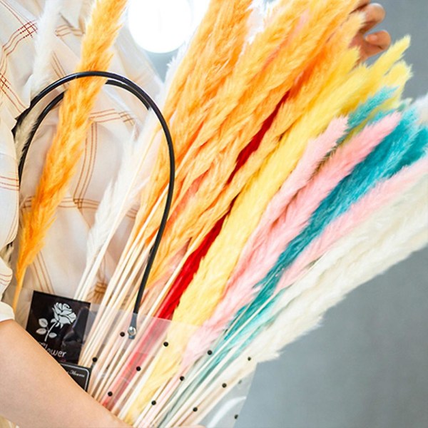 15 st Torkat Litet Pampasgräs Phragmites Communis Dekoration För Hem Butik Bröllop Green
