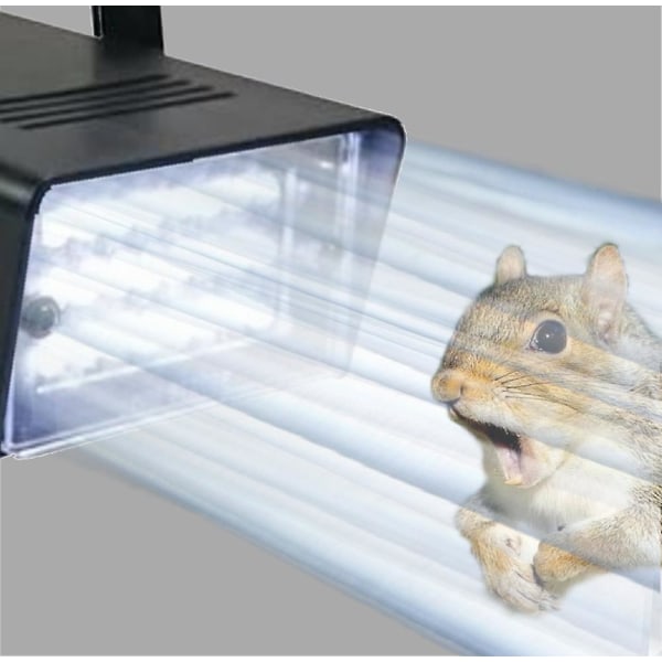 Mini LED Stroboskoplys med 24 Super Lyse 20w LED'er med Variabel Hastighedskontrol - Rox-St1