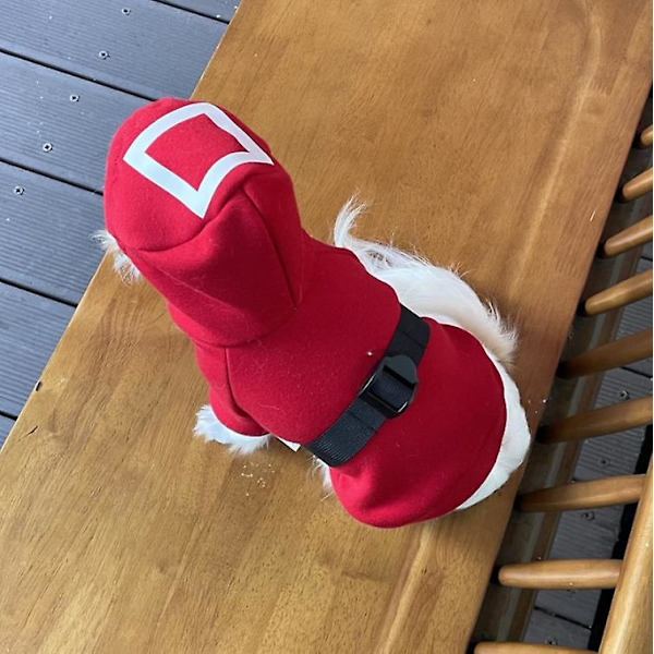 Kæledyr Squid Game Kat Hund Hættetrøje Varmt Kostume Tøj Triangle red XL
