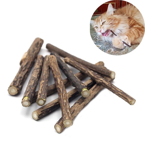20st/lot Naturlig Matatabi Pet Cat Snacks Sticks Rengöringstand