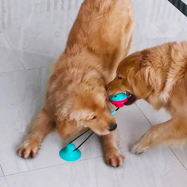 Djurmat läcker boll med ljud Hund Molar Rengöringsleksak Silikon Vit Pusselleksak Ingen sugkopp Red White B