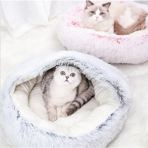 Katt Hund Kattsand Höst Vinter Husdjurstillbehör blue