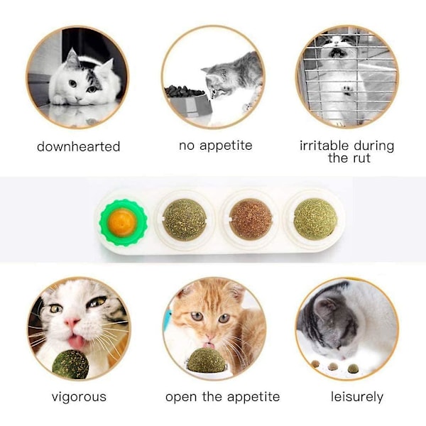 Kattmynta Bollar 4-pack Kattmynta Vägg Leksaker Naturliga Säkra Hälsosamma Vägggodis Roterbar Tugga Tandvård Kattleksak