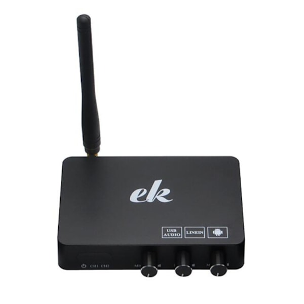 Hem TV Nätverk Karaoke Sjungutrustning Set Ljudkort Trådlös Mikrofon Dator Karaoke KTV Set-top Box
