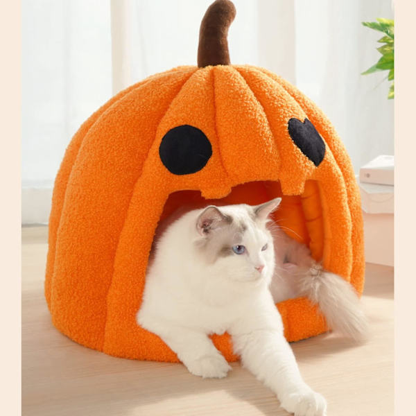 Halloween Kurpitsa Kissanhiekka Syksy Ja Talvi Lämmin Koiran Kissan Kennelitalo Irrotettava Matto