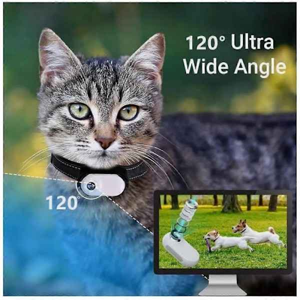 Catcam Pro, Katt Cam Pro 2.0, HD 1080p Videokamera Mini Halsbandskamera - Perfekt White
