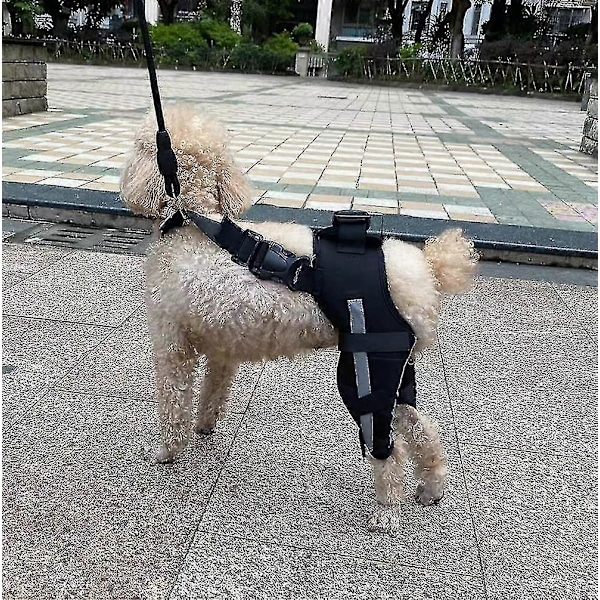 1 Par Hund Bakbenstøtte For Hund Bein Sårheling, Forebygger Leddskader Og Forstuinger, Kjæledyr Hund Leddbandasje Reflekterende Blå M Reflective Blue