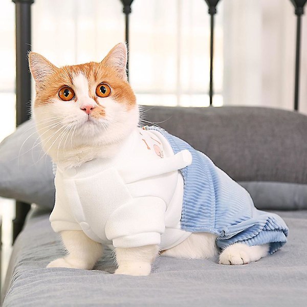 Kattkläder för husdjur Vinter Höst Vadderade Kläder 2XL