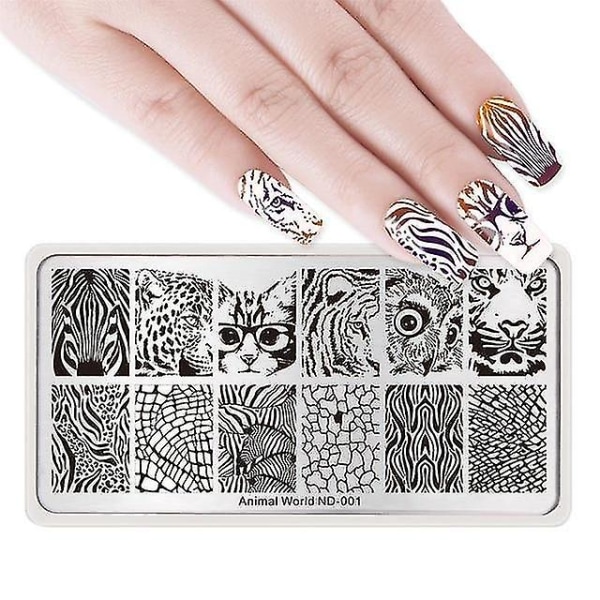 Nail art kit tillbehör spik stämpling marmor plattor bild stam