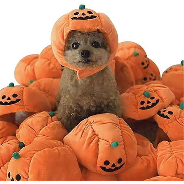 Halloween husdjur foto rekvisita, plysch pumpa hattar för katter, hallowee