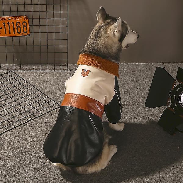 [LCS] Husdjurskläder Vintervarma kläder för stor hund Cool läderjacka kappa 3XL