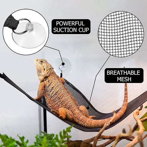 Reptil Nett Hengekøye Med Kraftige Sugekopper Pustende Nett Slitesterk Langvarig Lett Å Rengjøre White