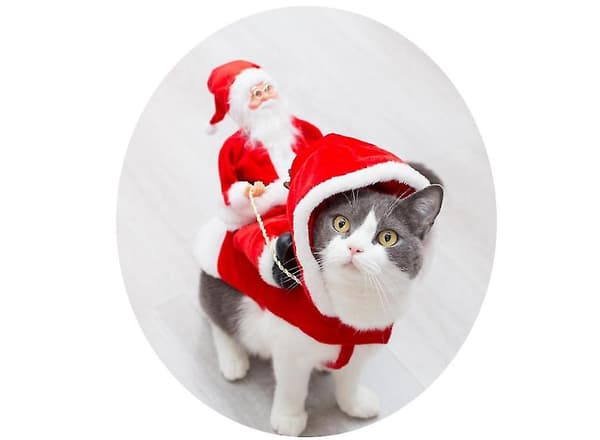 [LCS] Juldräkt Hund Katt Springande Tomte Juloutfit XL