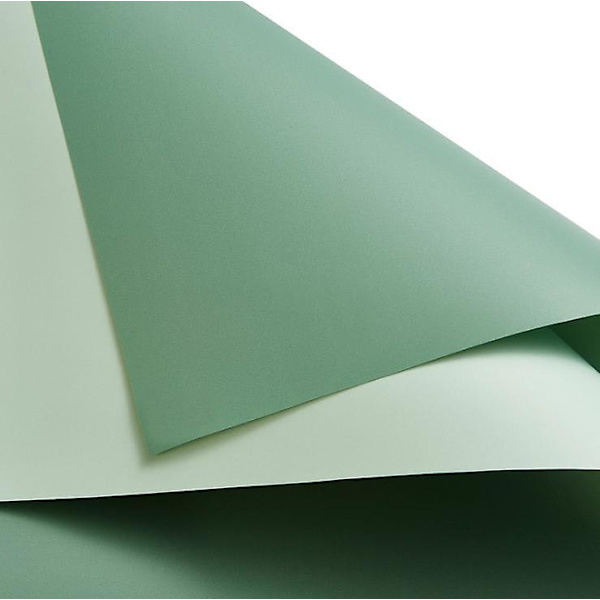 Blomsterpresentpapper 20 Ark Dubbelsidigt 2-färgat Födelsedag Bröllop green