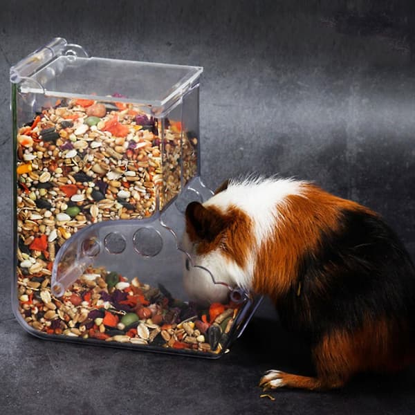 [LCS] Akryl Hamster Foderautomat Automatisk Dispenser Beholder Foderautomat Kompatibel med Små Kæledyr B