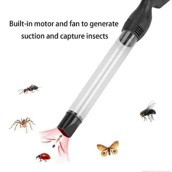 Handhållen spindelfångare och insektsdamm