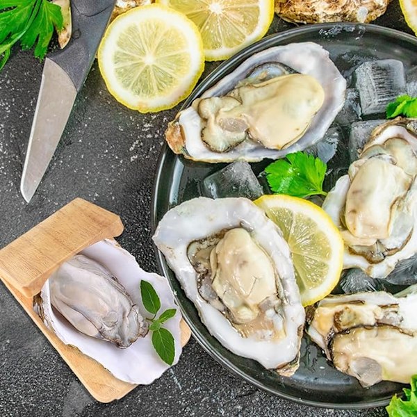 Ostronöppningsklämma, Ostronskalhållare i trä, Skaldjursverktyg, för fester, camping, picknickar, grillning, ostron