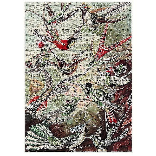 1000 stk. Dekompressionspuslespil, pædagogisk legetøj, kolibri-puslespil