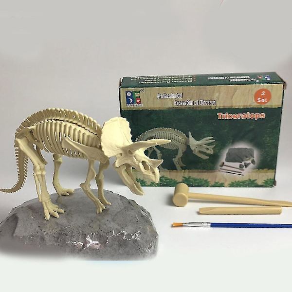 Triceratops Fossiler Vitenskapssett Utdanning Arkeologi Biologi B