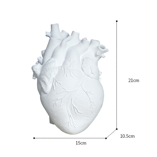 Kreativ Planteringskruka Simulation Hjärta Formad Vas Resin Anatomisk Organ Blomkruka Ornament För White M